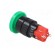 Switch: push-button | Pos: 2 | SPDT | 3A/250VAC | 2A/24VDC | ON-ON | green image 1