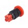 Switch: push-button | Pos: 2 | SPDT | 3A/250VAC | 2A/24VDC | ON-ON | red image 6