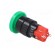 Switch: push-button | Pos: 2 | SPDT | 3A/250VAC | 2A/24VDC | ON-ON | green image 4