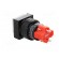 Switch: push-button | Pos: 2 | SPDT | 3A/250VAC | 2A/24VDC | ON-ON | white image 4