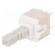 Switch: keypad | Pos: 2 | DPDT | 0.1A/32VDC | white | none | THT | 1.7N | PVA image 1