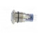 Switch: vandal resistant | DPDT | 3A/250VAC | IP67 | ON-(ON) | blue фото 3