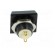Switch: vandal resistant | Pos: 2 | SPST-NO | 2A/36VDC | IP65 | OFF-(ON) image 5