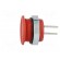 Switch: piezoelectric | Pos: 2 | SPST-NO | 0.1A/42VAC | 0.1A/60VDC фото 4