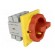 Switch-disconnector | Poles: 3 | for building in | 100A | Stabl.pos: 2 image 8