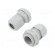 Switch: cam switch | Stabl.pos: 2 | 10A | 0-1 | flush mounting | Poles: 1 image 2