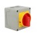 Switch: cam switch | Stabl.pos: 2 | 20A | 0-1 | Mounting: in housing image 8