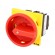 Switch: main cam switch | Stabl.pos: 2 | 20A | OFF-ON | Poles: 2 | 6.5kW image 1