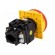 Switch: main cam switch | Stabl.pos: 2 | 20A | OFF-ON | Poles: 3 | 6.5kW image 6