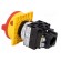 Switch: main cam switch | Stabl.pos: 2 | 20A | OFF-ON | Poles: 3 | 6.5kW image 4