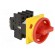 Switch: main cam switch | Stabl.pos: 2 | 25A | OFF-ON | Poles: 3 | 13kW image 8