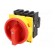 Switch: main cam switch | Stabl.pos: 2 | 25A | OFF-ON | Poles: 3+N | 13kW image 2
