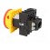 Switch: main cam switch | Stabl.pos: 2 | 25A | OFF-ON | Poles: 3+N | 13kW image 4
