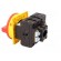 Switch: main cam switch | Stabl.pos: 2 | 63A | OFF-ON | Poles: 3+N | 37kW image 4