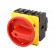 Switch: main cam switch | Stabl.pos: 2 | 63A | OFF-ON | Poles: 3+N | 37kW image 1