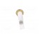 Indicator: with neon lamp | flat | 230VAC | Cutout: Ø10mm | plastic image 5