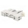 Relay: interface | DPDT | Ucoil: 24VAC | for DIN rail mounting image 6