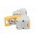 Relay: interface | for DIN rail mounting image 3