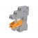 Relay: interface | for DIN rail mounting image 1