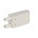 Module protecting | Mounting: socket | Indication: LED | 24/60VDC image 6