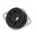 Socket | PIN: 8 | 10A | 250VAC | on panel | for soldering | Series: MT image 2