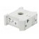 Current transformer | EISH | IP20 | Body dim: 22.5x55.4x47.4mm image 8