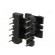 Coilformer: with pins | Application: E25/10/16 | No.of term: 10 image 6