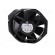 Fan: AC | axial | Ø152.5x38mm | 320m3/h | ball bearing | 2800rpm | IP22 image 3