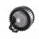 Fan: AC | radial | 230VAC | Ø142x72mm | 405m3/h | ball bearing | 1500rpm image 7