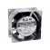 Fan: AC | axial | 80x80x38mm | 54m3/h | 35dBA | ball bearing | 2700rpm image 1