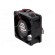 Fan: DC | axial | 12VDC | 60x60x25mm | 28.8m3/h | 23.5dBA | ball bearing image 4