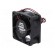 Fan: DC | axial | 24VDC | 60x60x25mm | 28.8m3/h | 23.5dBA | ball bearing image 4