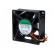 Fan: DC | axial | 24VDC | 70x70x25mm | 83.25m3/h | 45dBA | ball bearing image 3