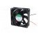Fan: DC | axial | 24VDC | 80x80x25mm | 69.63m3/h | 33dBA | slide bearing image 3
