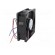 Fan: DC | axial | 24VDC | 80x80x25mm | 79m3/h | 37dBA | ball bearing image 9