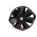 Fan: DC | axial | 24VDC | Ø150x38mm | 360m3/h | 58dBA | ball bearing image 7