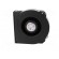 Fan: DC | blower | 127x127x25mm | 64m3/h | ball bearing | 5100rpm image 3