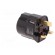Adapter | Plug: with earthing | Input: UK | Out: EU | Colour: black image 4