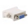 Converter | D-Sub 15pin HD socket,DVI-I (24+5) plug | white paveikslėlis 9