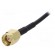 Antenna adapter | MMCX-B plug,SMA-A plug | straight,angled | 100mm paveikslėlis 3