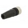 Connector | M12 | PIN: 4 | straight | plug | Connection: PG7 | 125VAC | 3A image 6