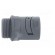 Straight terminal connector | Thread: PG,outside | polyamide | grey image 7