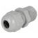 Cable gland | NPT3/8" | IP68 | Mat: polyamide | grey image 1