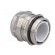 Cable gland | PG21 | IP68 | Mat: stainless steel image 4