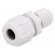 Cable gland | with long thread | M12 | 1,5 | IP68 | Mat: polyamide | grey image 1