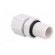 Cable gland | with long thread | M12 | 1.5 | IP68 | polyamide | grey image 4