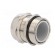 Cable gland | with long thread | PG29 | IP68 | Mat: brass paveikslėlis 4