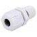 Cable gland | with long thread | PG7 | IP68 | Mat: polyamide | grey image 1