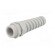 Cable gland | with strain relief | PG21 | IP68 | Mat: polyamide | grey paveikslėlis 2