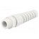 Cable gland | with strain relief | PG7 | IP68 | Mat: polyamide | grey paveikslėlis 1